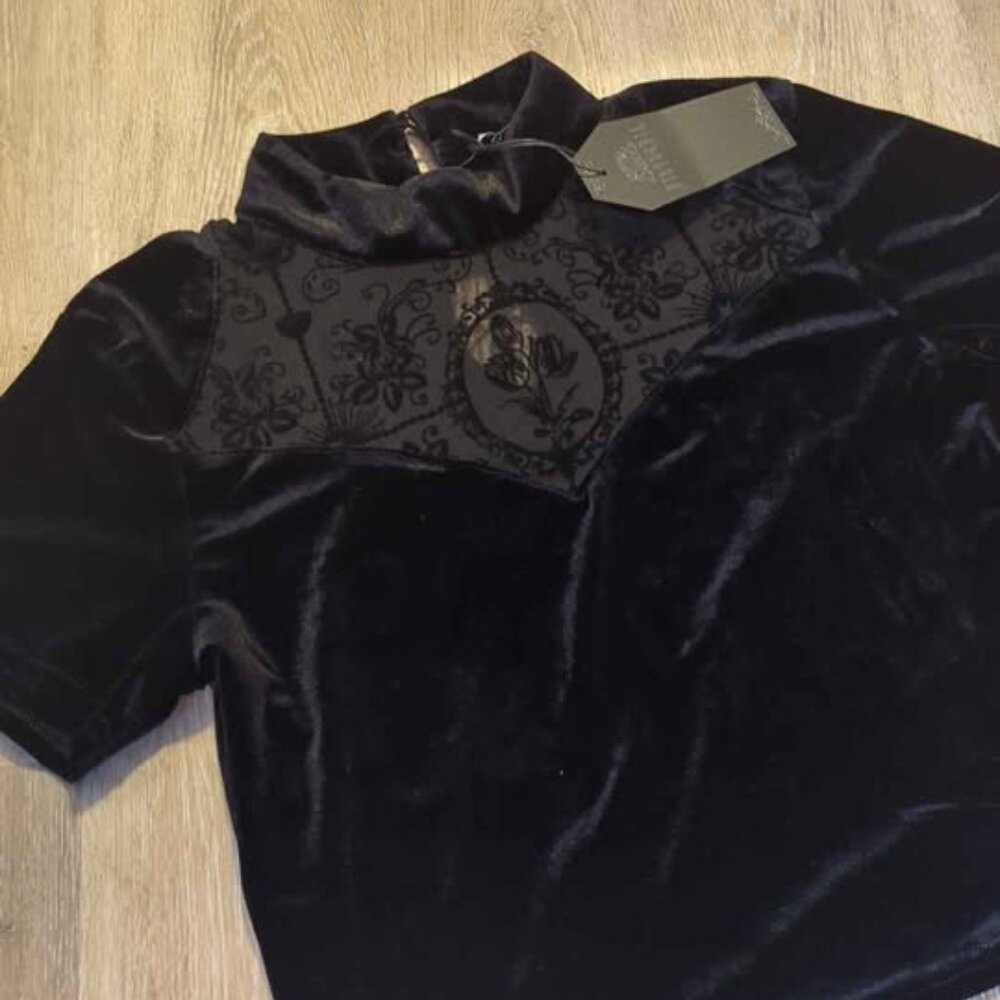 Disturbia cameo floral flocked mesh velour high neck top size 8 new - Picture 3 of 4
